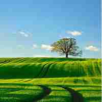 智​能‍数​据‌挖‍掘‌工‍具﻿